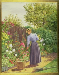 Dame jardinant dans une bordure herbacée
